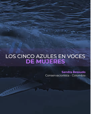 Portada de Los cinco azules en voces de mujeres 