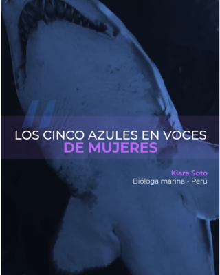 Portada de Los cinco azules en voces de mujeres del tiburón toro