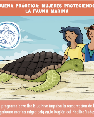 Comic de Buenas practicas: Mujeres protegiendo la fauna marina