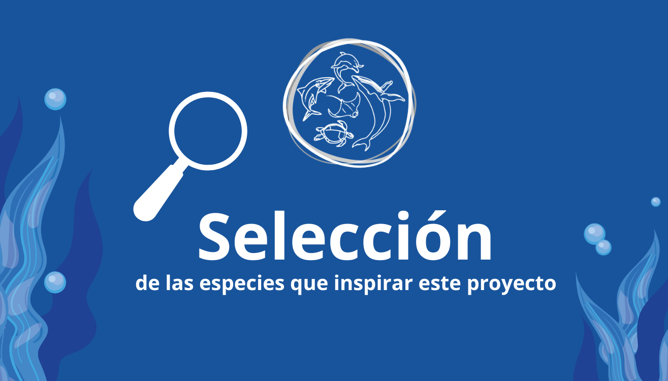 Selección de las especies que inspiran este proyecto
