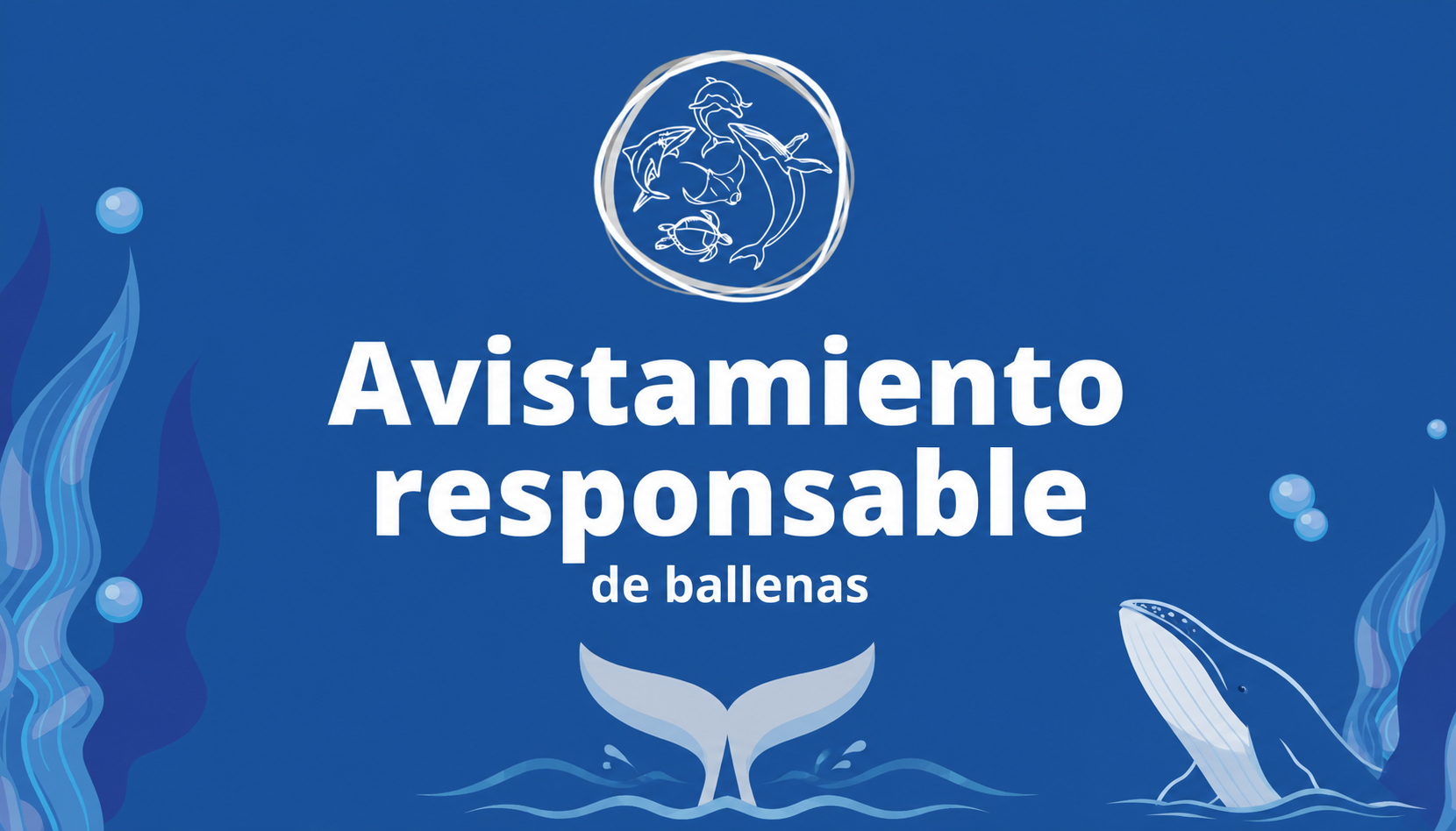 Avistamiento responsable de ballenas
