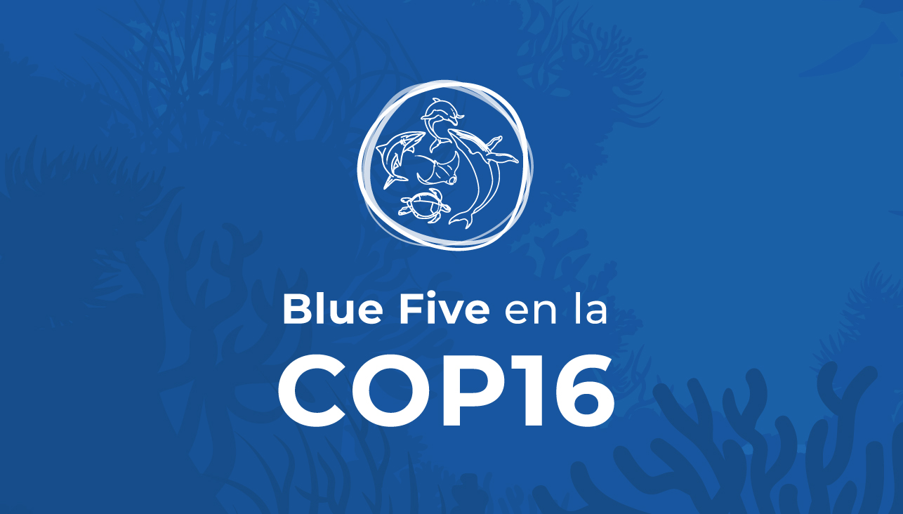 Save the Blue Five en la COP16