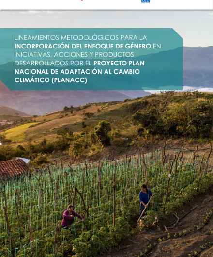 109_Lineamientos metodologicos genero_PLANACC_VF.pdf