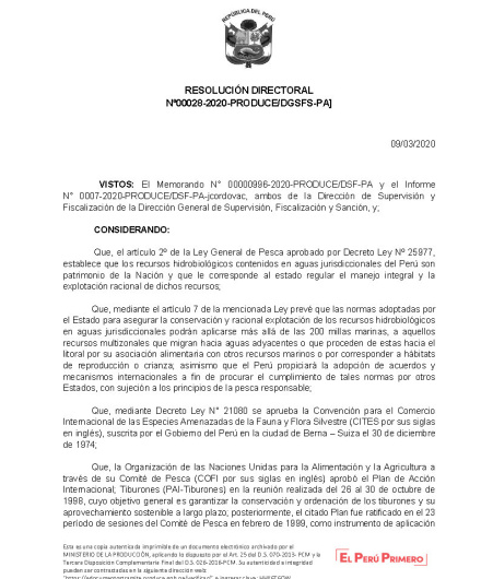 Resolución Directoral N° 00028