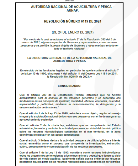 87.Portada
