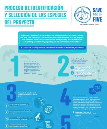 portada infografía sobre Proceso de identificación y selección de las especies del proyecto Save the Blue Five