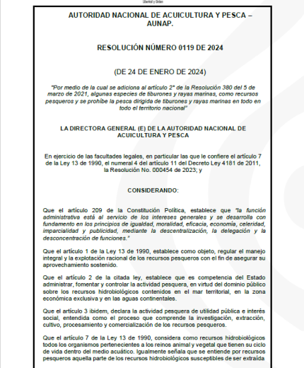 87.Portada