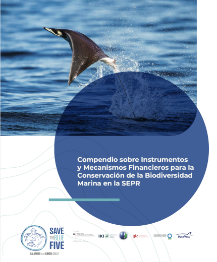 Portada documento Compendio de instrumentos