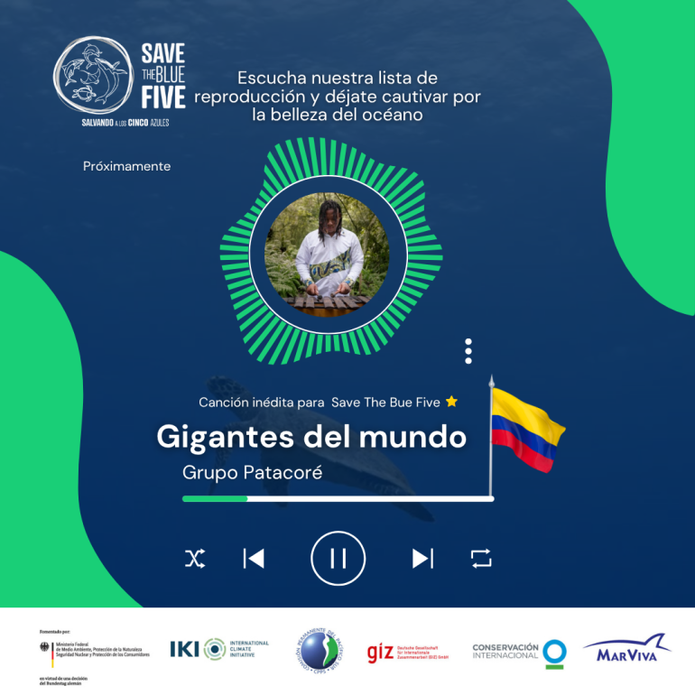 Campaña Música por la conservación marina