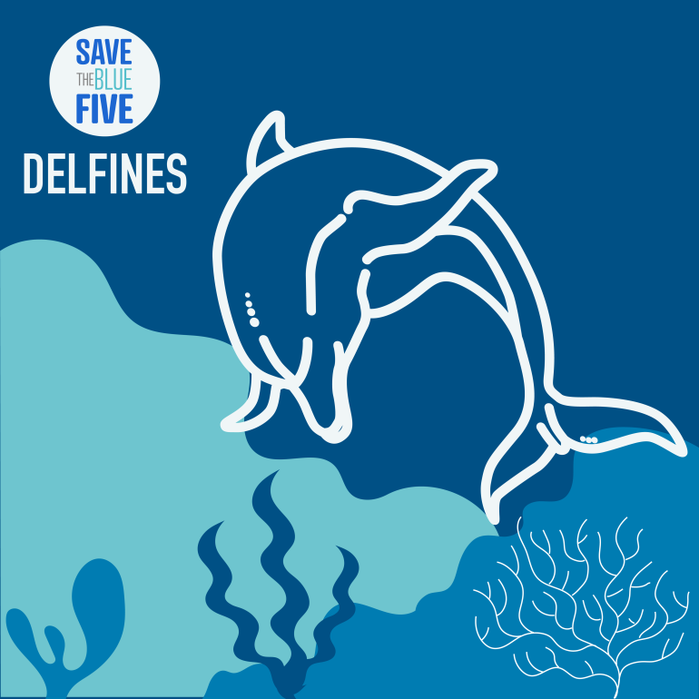 infografía delfines