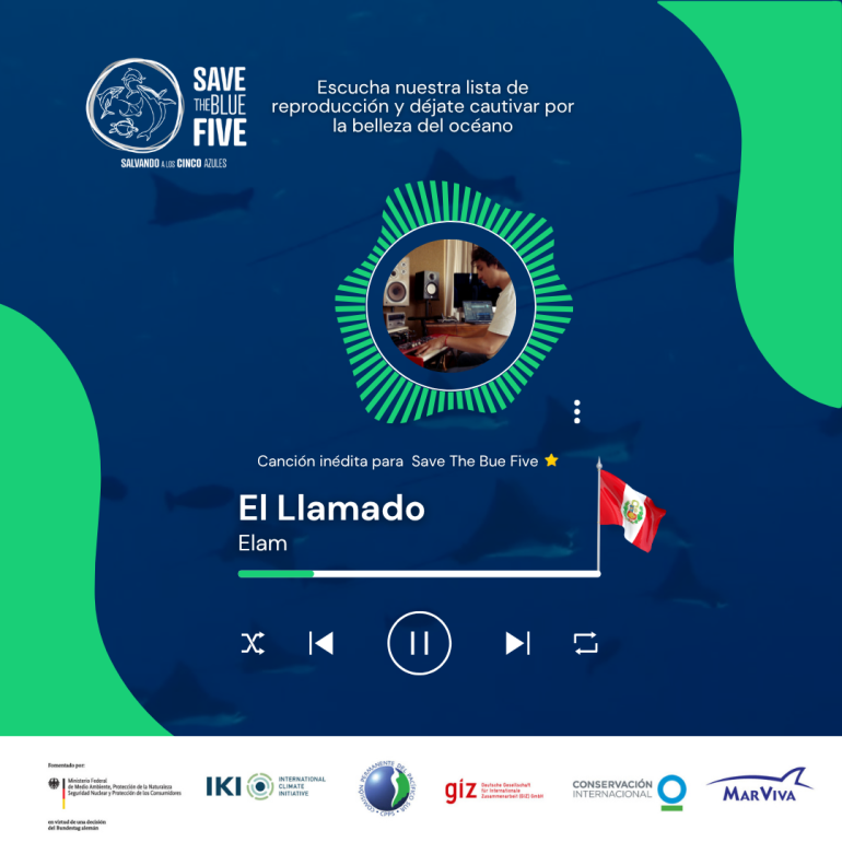 Campaña Música por la conservación marina: canción El llamado