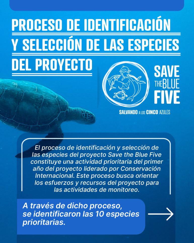 Proceso de identificación y selección de especies del proyecto