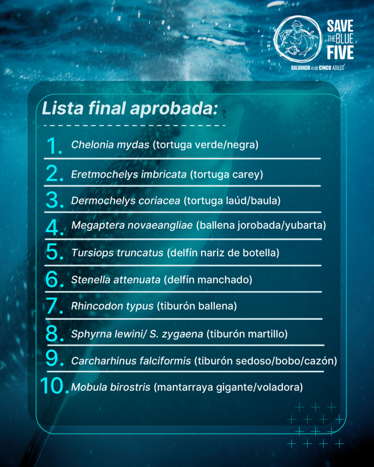 Lista final aprobada