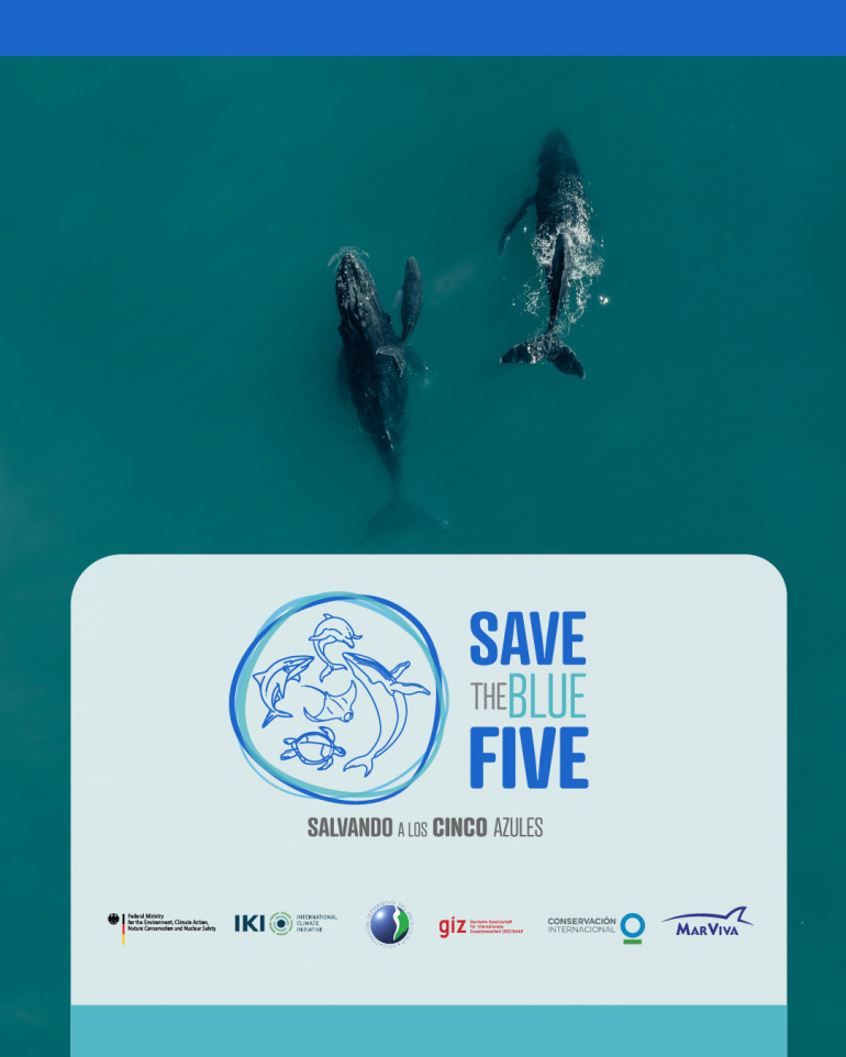 Save the Blue Five