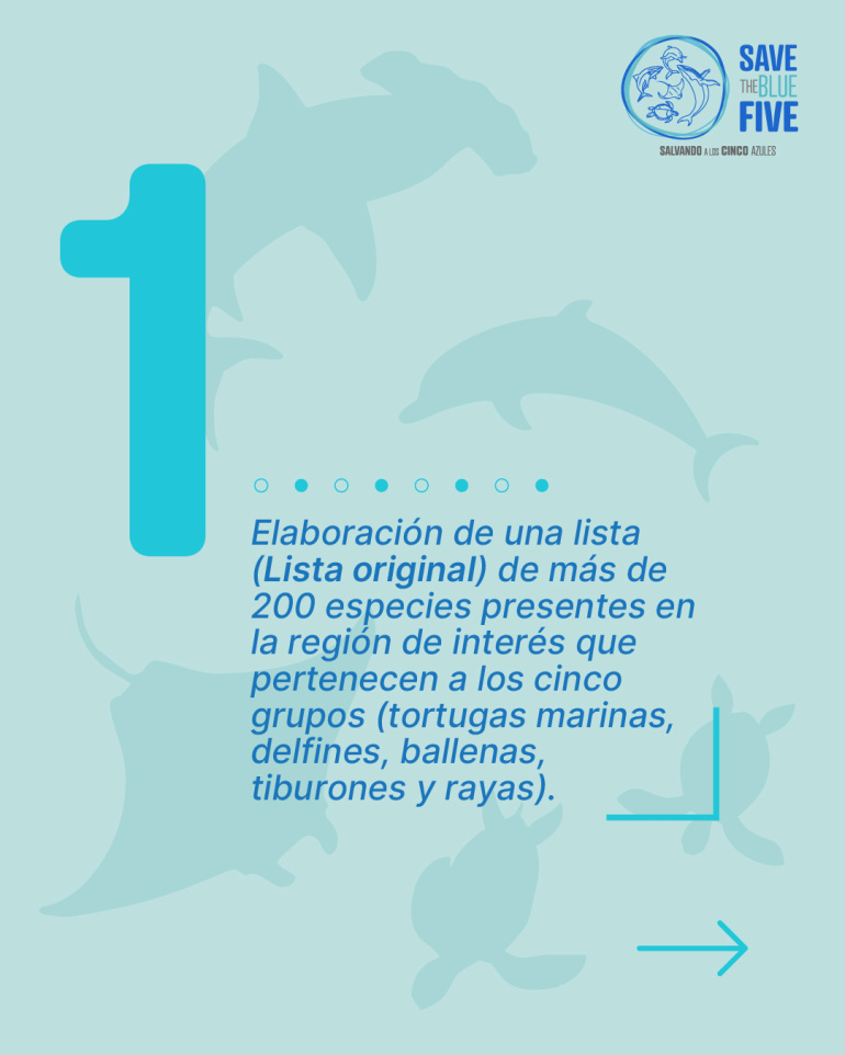 Lista original