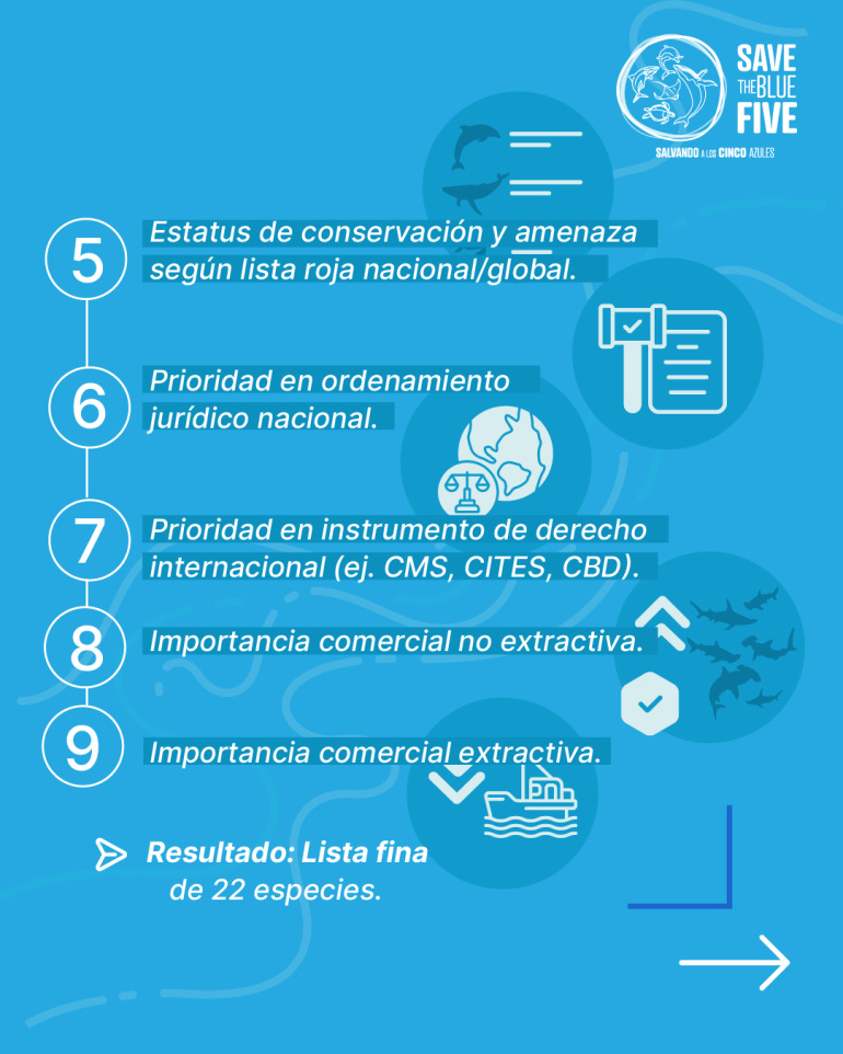  3. Aplicación de filtro fino de 9 criterios ponderados a la lista gruesa. 