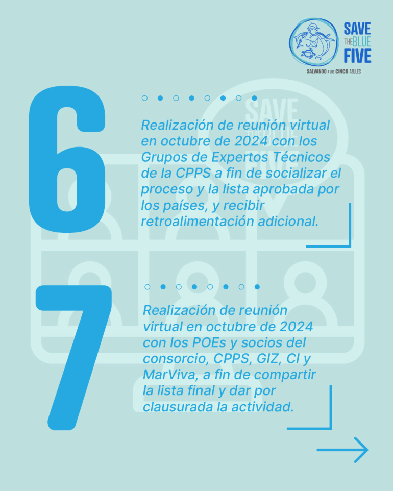 6 y 7. Realización de reuniones virtuales 