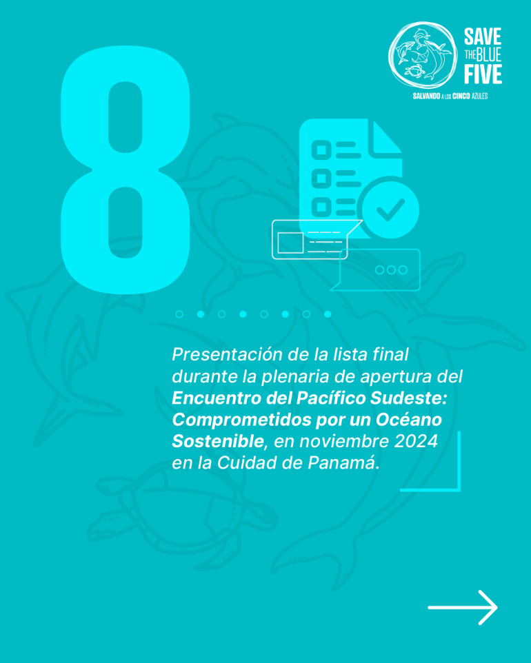 8. Presentación de la lista final