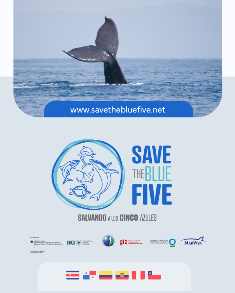 Flyer Save the Blue Five