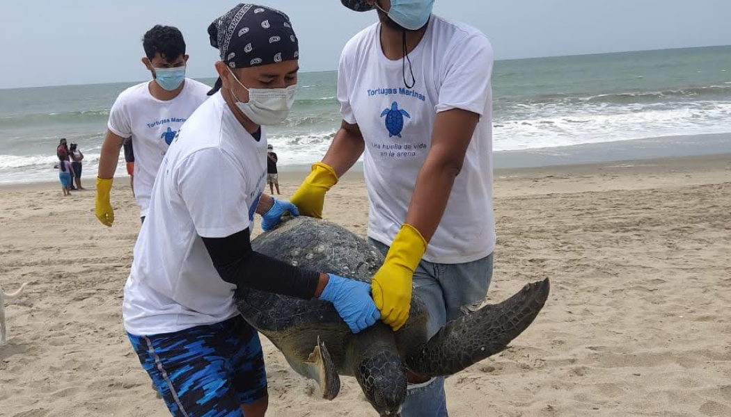 Grupo de personas colaborado en el Área Nacional de Recreación Playas de Villamil 