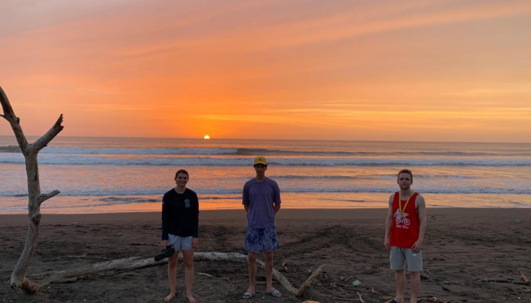 Tortugas y sunset
