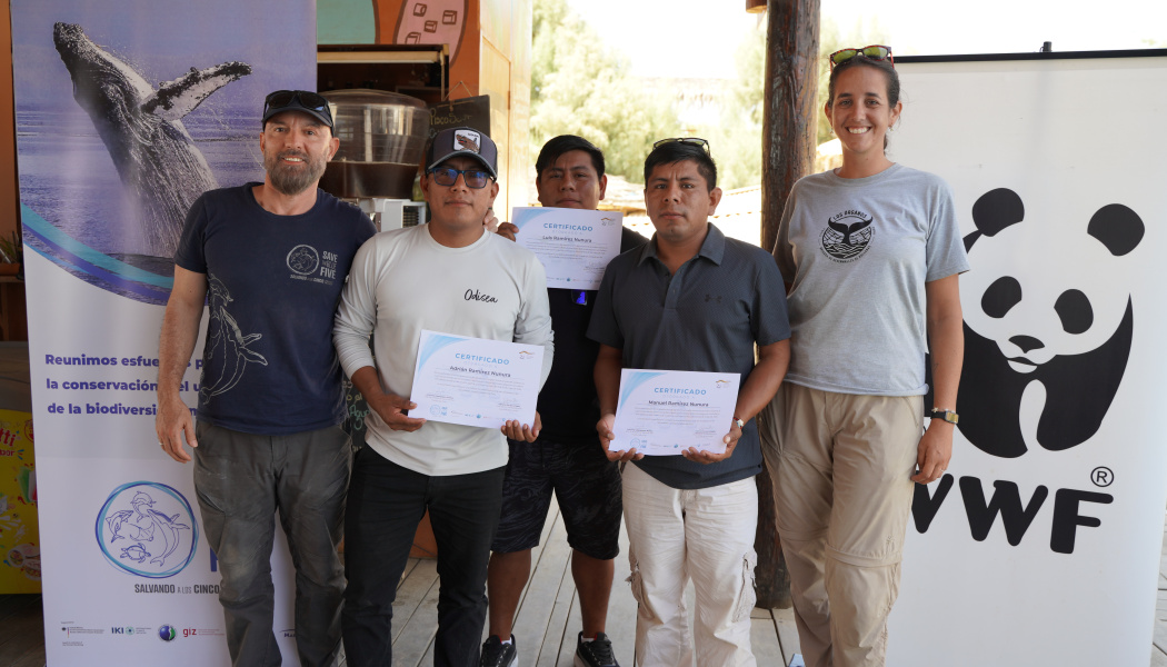 Certificado por participación