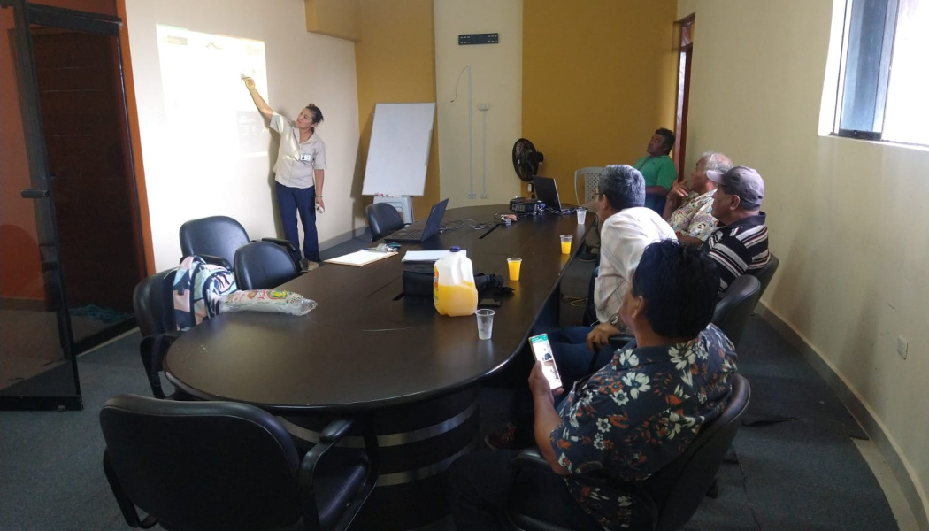 Comisión ejecutiva