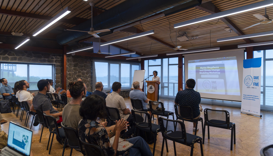 Día 1 Taller Mega fauna Marina y Modelación Climática 
