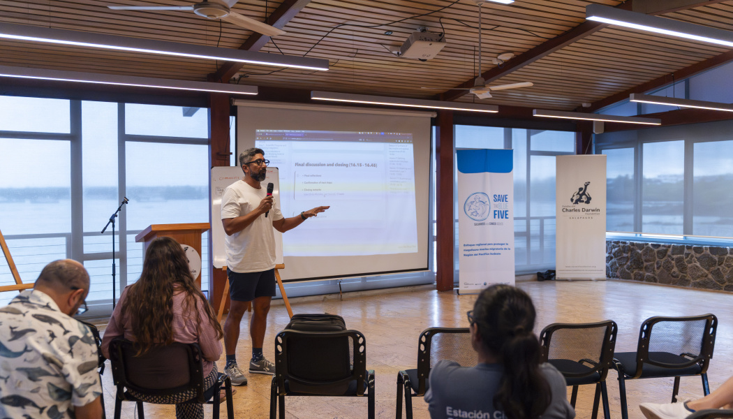 Día 3 Taller Mega fauna Marina y Modelación Climática 