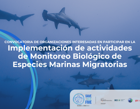 Implementación de actividades de Monitoreo Biológicao de especies marinas migratorias