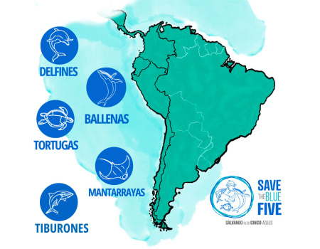 II Jornada Regional de Áreas Marinas Protegidas del Pacífico Sudeste Fortaleciendo la acción regional para proteger a los Blue Five