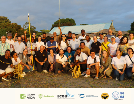 Capacitación para la Protección de Mamíferos Marinos en Colombia: Taller Teórico-Práctico sobre Enmallamientos y Varamientos