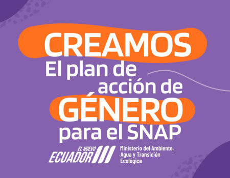 Arte SNAP Portada