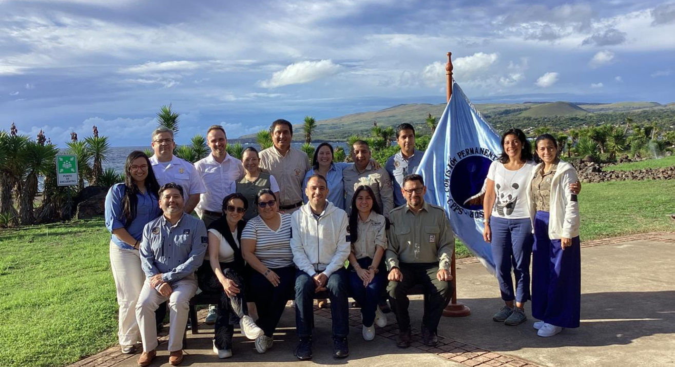 Grupo Técnico de Trabajo
