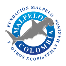 Logo FundacionMalpelo